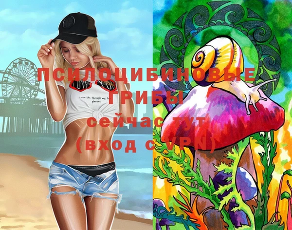 apvp Нязепетровск