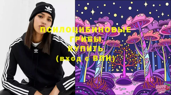 apvp Нязепетровск