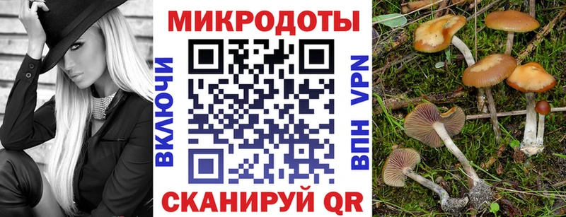 Псилоцибиновые грибы Magic Shrooms  Мирный 